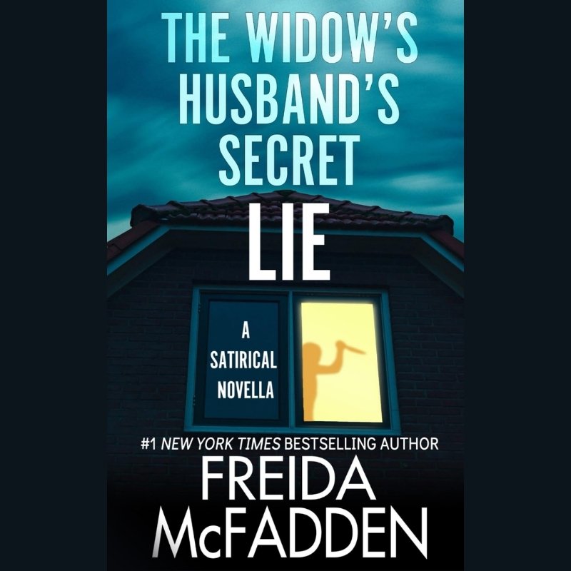 Satirical book cover showing a silhouette with an axe through a lit window at night.